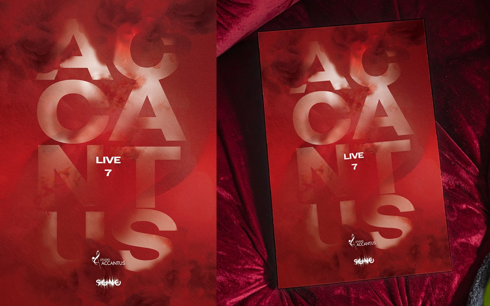 Accantus Live 7 — Identyfikacja wizualna, realizacja 2025