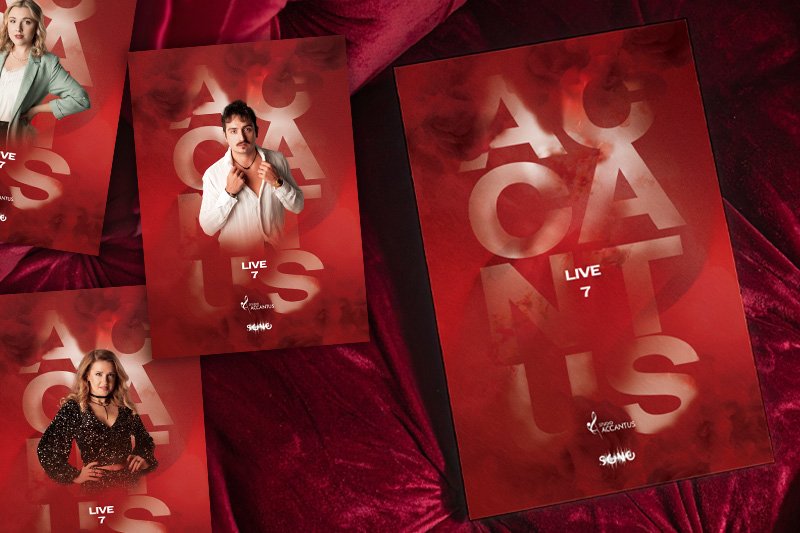 Accantus Live 7 — identyfikacja wizualna wydarzenia muzycznego
