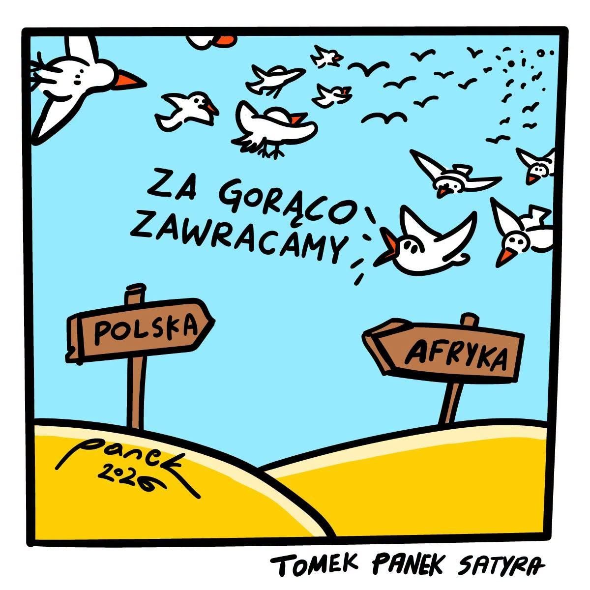 Rysunek satyryczny: ptaki zawracają z Afryki do Polski, bo za gorąco